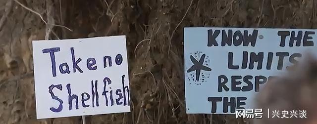 开云体育入口-大规模抗议爆发, 针对华人! 本地人在海边用中文横幅抵制!